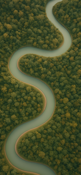 树林 河道的封面图