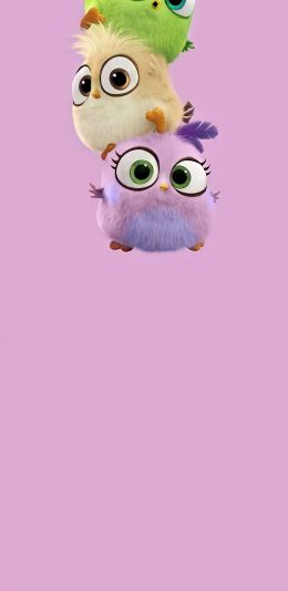 隐藏挖孔的封面图